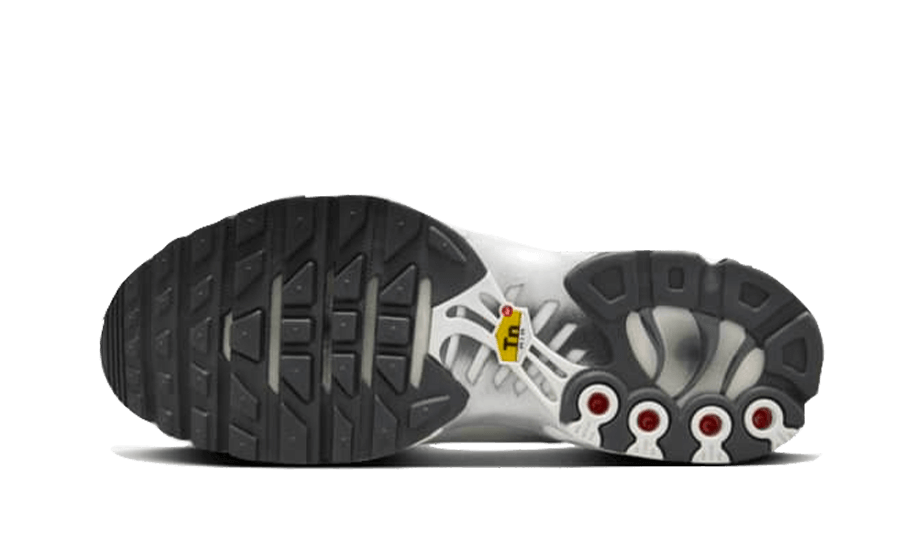 Nike® Air Max Plus Reflective Platinum