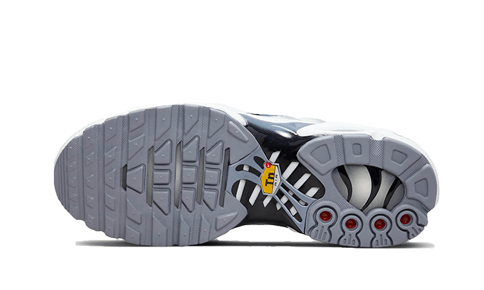 Nike® Air Max Plus Sail Grey